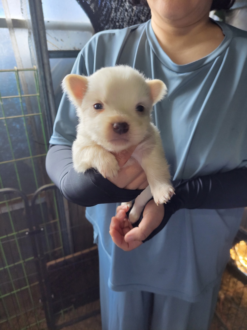 금일동물보호센터_444460202300508